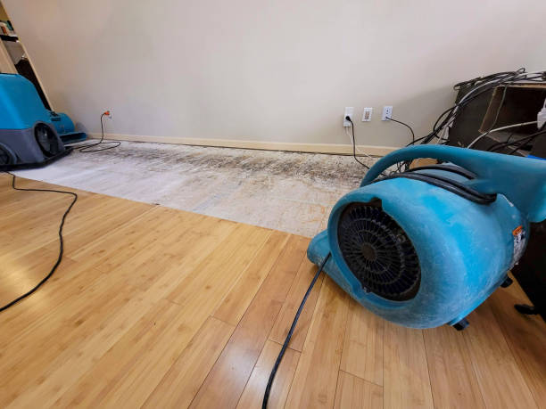 Professional Water Extraction technician working in Halifax, VA